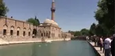 Şanlıurfa gündem haberi | ŞANLIURFA - Sıcak hava bunaltıyor