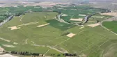 Ayçiçeği ekim alanı arttı