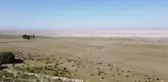 Annesinin düğün hediyesi 