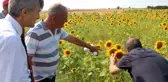 DPÜ üretim seferberliği başlattı