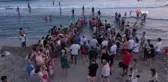 Patara'da caretta caretta yavrularının denizle buluşması böyle görüntülendi