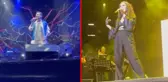 Kenan Doğulu'dan sonra Sertab Erener'in konserine de polisten organizatöre telif baskını yapıldı