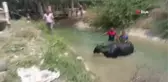 Son dakika haberleri | Sulama kanalına düşen ineğin yardımına itfaiye yetişti