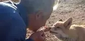 Tilkiyi elleriyle besleyip su verdi
