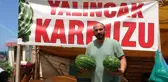 Yalıncak karpuzunda hasat rötarlı başladı