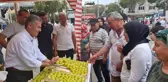 Aydın haberi! Buharkent'te vatandaşlara 2 ton taze incir dağıtıldı