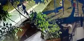 Son dakika haberi! BAĞCILAR'DA PARKTAKİ CİNAYETTEN YENİ GÖRÜNTÜLER