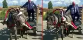 CHP Milletvekili Tanal, arabacıdan 