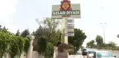 Dünya Aslan Günü