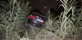 Otomobilin otluğa devrilmesi sonucu iki kişi yaralandı