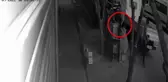 Bursa haberi! Bursa'da akü hırsızlığı kamerada