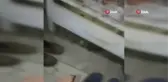 Kirpiye, elleriyle böyle çikolata yedirdi