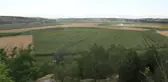 Malatya haberi... Pankobirlik Malatya Şubesi Başkanı Celal Şerefhanlı: Malatya Olarak 80 Bin Dönüm Pancar Ekim Sahasını Maalesef Dolduramadık
