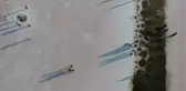 Tuz Gölü'nde hasat devam ediyor