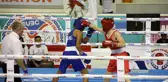 Erzurum spor haberleri | Üst Minikler Avrupa Boks Şampiyonası yapılan seremoni ve boks maçlarıyla Erzurum'da başladı