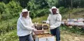 Karabük haberi... Yenice Ihlamur Balı 'Tescil' yolunda