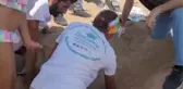 Kürekle açılan yuvadaki yavru caretta carettalar zarar gördü