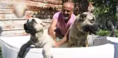 Sivas gündem haberleri: SICAKTAN ETKİLENEN KANGAL KÖPEKLERİNE 'JAKUZİ' SERİNLİĞİ
