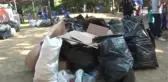 AK Parti Arnavutköy'den piknik programında örnek yarışma: Mesire alanından 50 çuval çöp toplandı