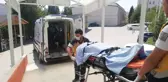 Ayının saldırdığı kişi yaralandı