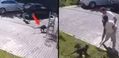 Maymun küçük çocuğu ailesinin gözü önünde kaçırmaya çalıştı