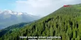 Son dakika haberi: ÜNLÜ İSİMLER BU YIL DA ORMAN YANGINLARI İÇİN ÇAĞRIDA BULUNDU