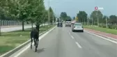 Son Dakika | Bursa'da başıboş at trafiği alt üst etti... O anlar kamerada