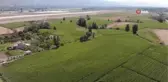 Son dakika haberi! Geçtiğimiz yıl para kazandırdı, ekmeyen kalmadı