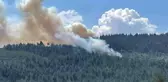 Son dakika haber... Bursa'da orman yangını
