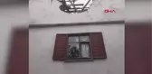 Ordu haber... ORDU'DA DİNAMİT PATLATILAN YOLDAN FIRLAYAN KAYALAR, BİNA DUVARINI YIKTI