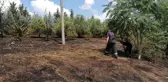 Son dakika haberi | Taşlama makinesinden çıkan kıvılcım yangına sebep oldu
