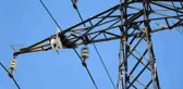 Yavru leylek, yuvasının bulunduğu elektrik direğinde telef oldu