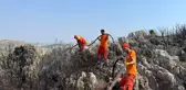 Son dakika haber... Makilik alanda çıkan yangın söndürüldü