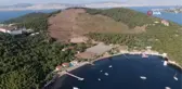 Heybeliada'da yanan ormanlık alan 1. yıl dönümünde eski görünümüne kavuşuyor