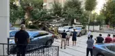 Diyarbakır haberleri... (Devrilme anıyla) KADIKÖY'DE ÇINAR AĞACI PARK HALİNDEKİ 5 ARACIN ÜZERİNE DEVRİLDİ