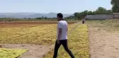 Son dakika haberi! Manisalı Üzüm Üreticisi: Bu Üzümü Ben 20'ye, 25'e Verdim mi Kafa Kafaya Gelir. O Zaman Ben Ne Yiyeceğim? Aç Kalacağım