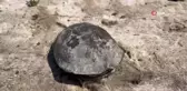 3 yıl önce yüzülen akarsu kurudu