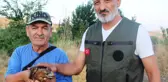 Son dakika gündem: Yaralı şahin tedavi altına alındı