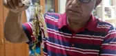'DENİZLERİN AKCİĞERİ'NE İSTİLACI YOSUN TEHDİDİ