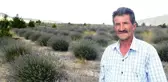 Eski linyit sahaları lavanta kokacak