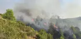Manisa'da rüzgarın etkisiyle büyüyen yangın, havadan ve karadan müdahaleyle kontrol altına alındı