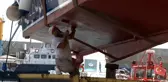 1 Eylül'de yasaklar bitiyor, balıkçılar av sezonuna hazırlanıyor
