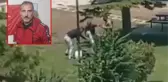Husumetlileri tarafından parkta dövülerek öldürülmüştü! Görüntüleri ortaya çıktı