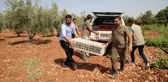 Şanlıurfa kültür sanat haberleri | ŞANLIURFA - Biyoçeşitliliğin artması için doğaya 250 sülün salındı