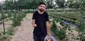 Tarladan halka 'organik hizmet '