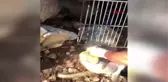 DEMİR KORKULUĞA SIKIŞAN KÖPEK KURTARILDI; O ANLAR KAMERADA