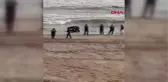 SARIYER'DE DENİZDE KAYBOLAN ÇOCUĞUN CANSIZ BEDENİNE ULAŞILDI - 2