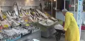 Balıkçı Kenan Balcı, 