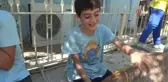 Buzağılar podyuma çıktı