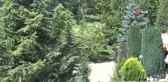 Yalova haber: Termal tesis, şifa arayanların uğrak yeri oldu